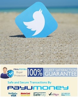 Advertising on Twitter,twitter,promotion,small,business,Delhi,mumbai,India,low,price,Africa